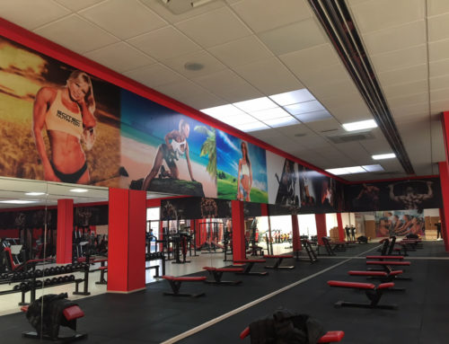 Gimnasio Alma Fit Gym